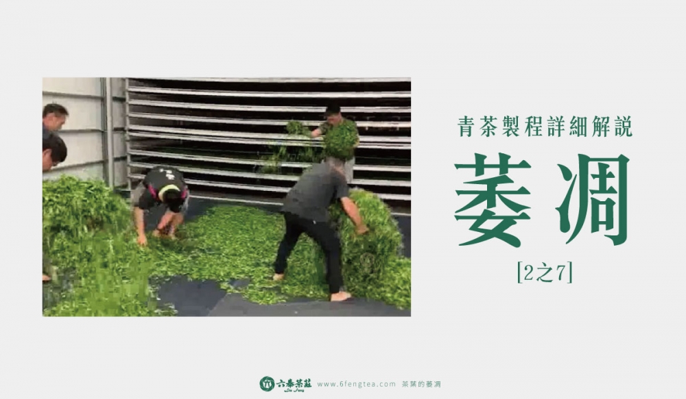 六奉茶學#004-茶葉的萎凋：室外萎凋及室內萎凋