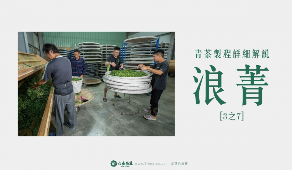 六奉茶學#005-茶葉的浪菁：繼續發酵