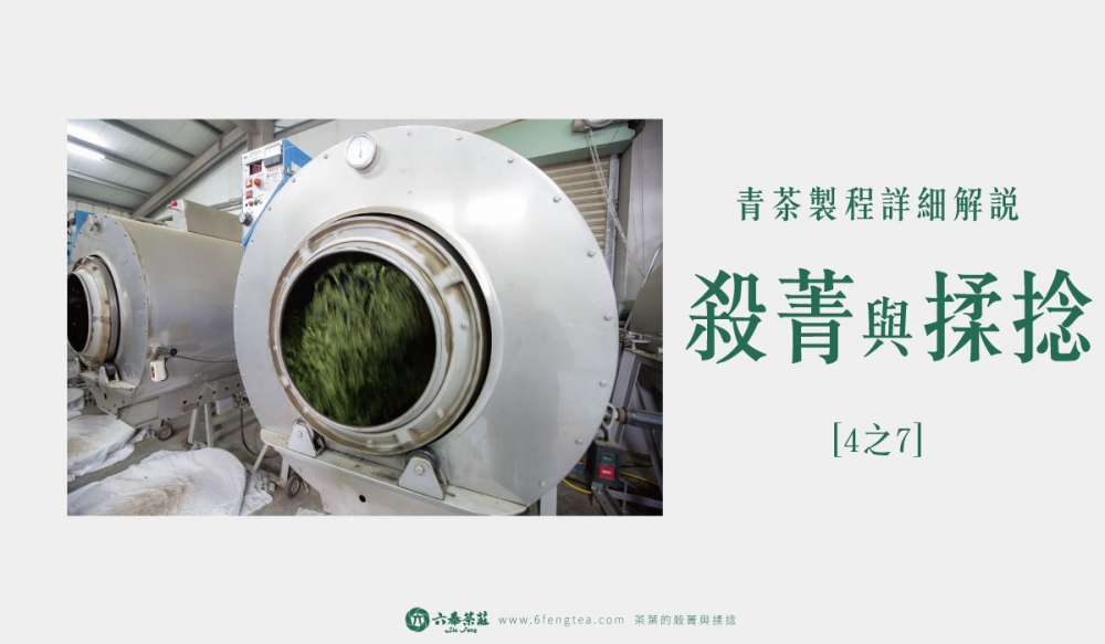 六奉茶學#006-茶葉的殺菁：停止發酵，以及茶葉的揉捻、初乾