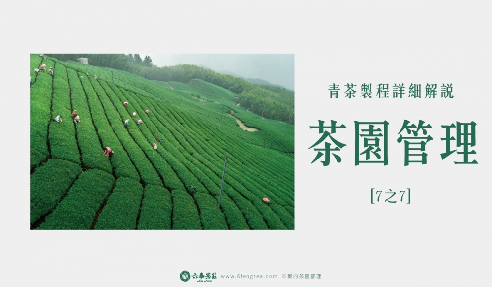 六奉茶學#009-茶園管理：土壤、肥料與農藥